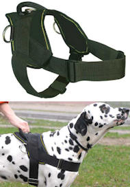 Best Dog Training Harness for GERMAN SHEPHERD Best Dog Training Harness for GERMAN SHEPHERD