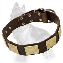 Leather German-Shepherd Dog Collar Decorated With Brass Massive Plates