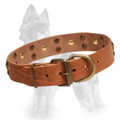 Buckle Leather German-Shepherd Collar with Brass Studs and Circles
