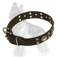 Buckle Leather German-Shepherd Collar with Nickel Plated Studs and Circles