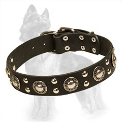 Studded Leather German-Shepherd Collar with Nickel Plated Circles