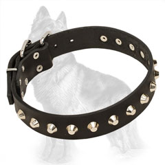 Leather German-Shepherd Collar Studded with Nickel Plated Pyramids