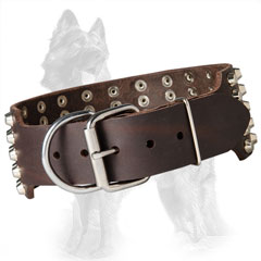 Wide Leather German-Shepherd Collar with Riveted Nickel Plated Hardware
