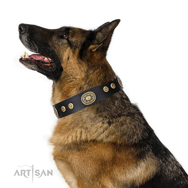 Inimitable adorned genuine leather dog collar for fancy walking