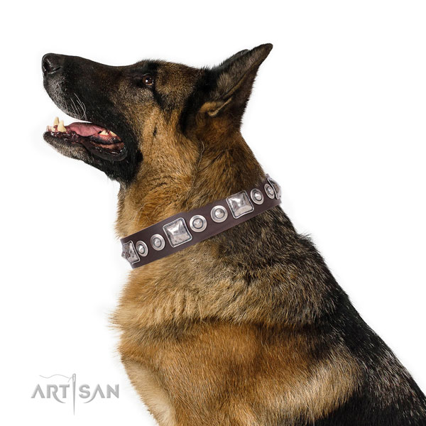Stylish embellished genuine leather dog collar for everyday use