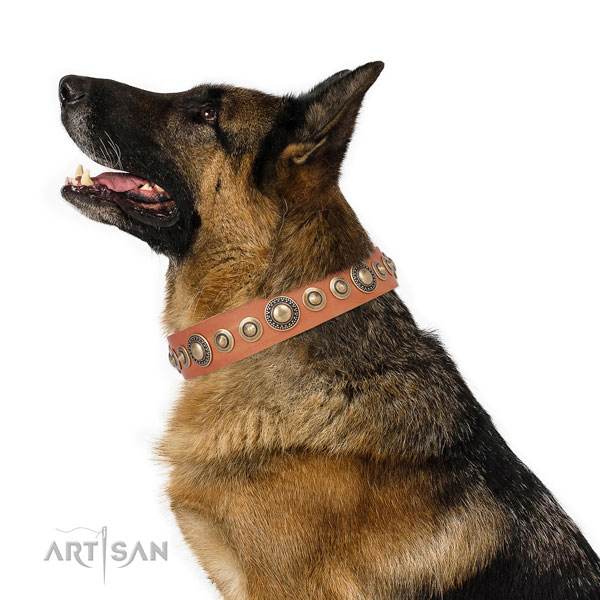 Reliable buckle and D-ring on leather dog collar for daily walking