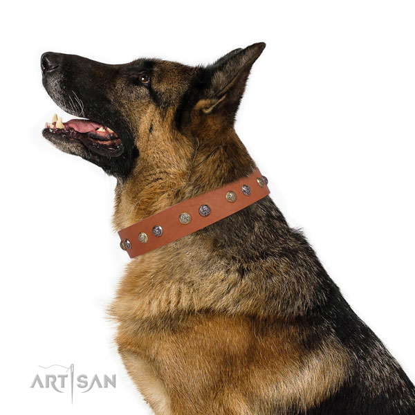 Full grain leather dog collar with rust resistant buckle and D-ring for walking