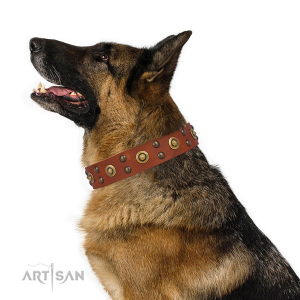 Walking dog collar with fashionable adornments