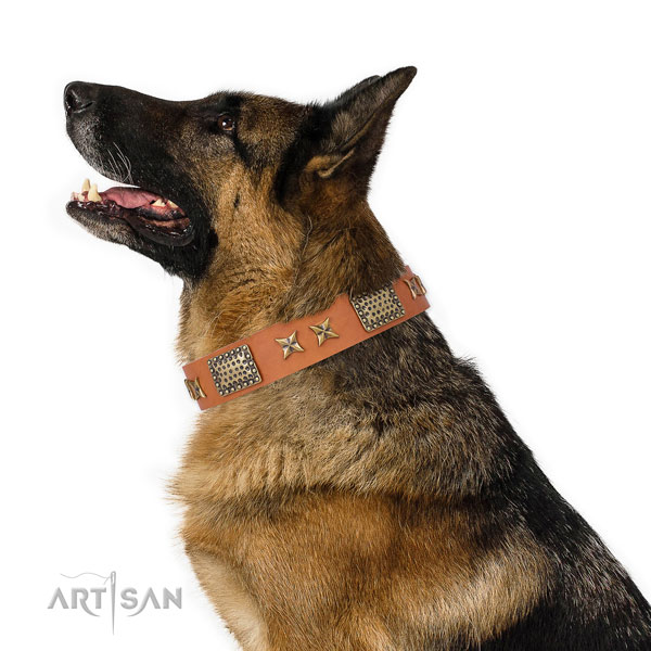 Walking dog collar with impressive adornments
