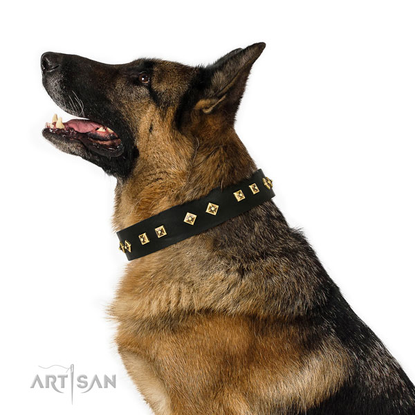 Incredible embellishments on walking full grain genuine leather dog collar