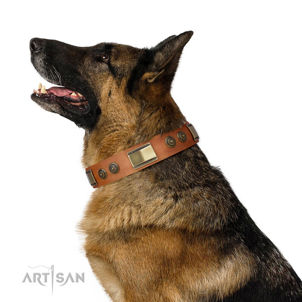 Fashionable decorations on daily use dog collar