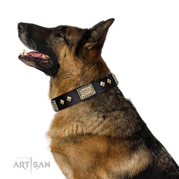 Top rate daily use dog collar of leather