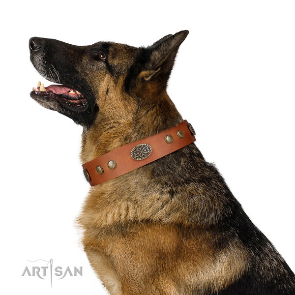 Reliable hardware on Genuine leather dog collar for handy use