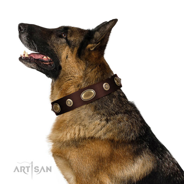 Everyday walking dog collar of leather with unique adornments