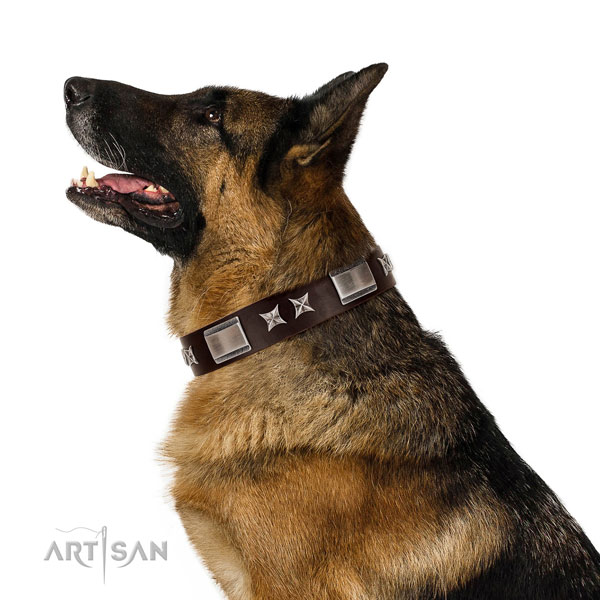 Unusual collar of leather for your attractive doggie