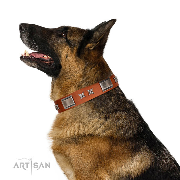 Walking quality full grain leather dog collar with decorations
