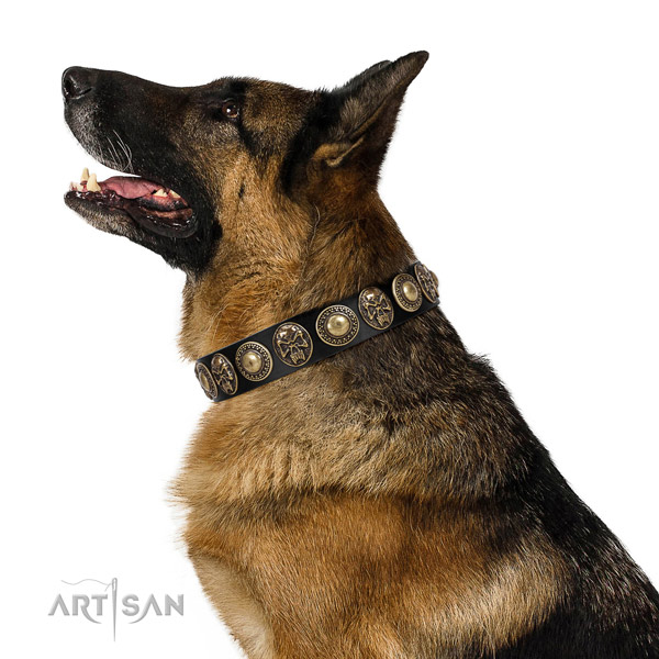 Adjustable genuine leather collar for your attractive pet
