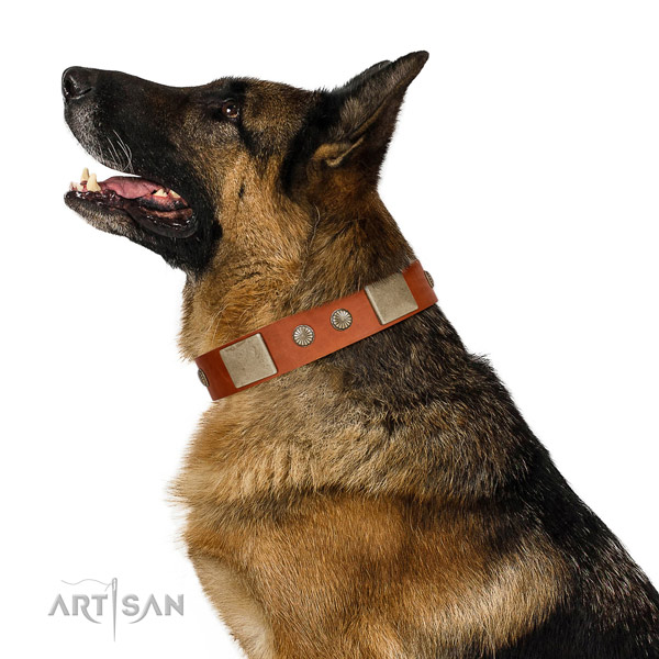 Rust resistant buckle on full grain leather dog collar for comfortable wearing