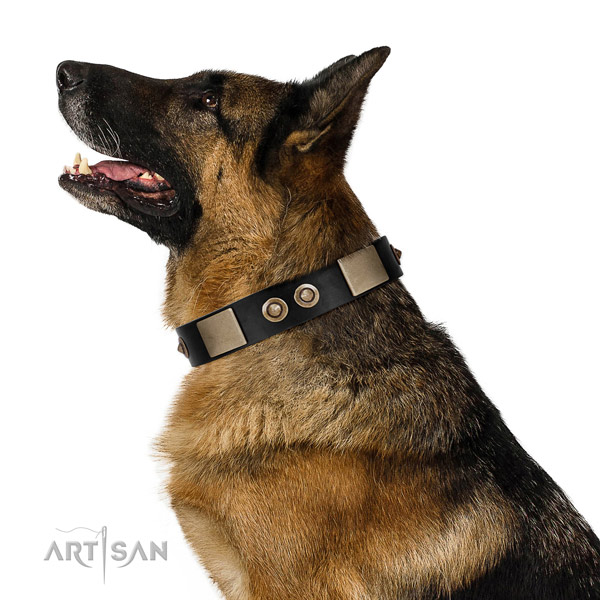 Rust-proof buckle on full grain natural leather dog collar for comfy wearing