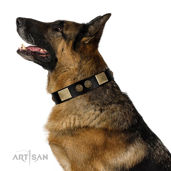 Comfy wearing dog collar of genuine leather with stylish design embellishments