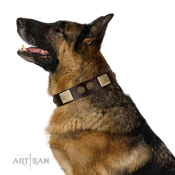 Comfy wearing dog collar of natural leather with exquisite studs
