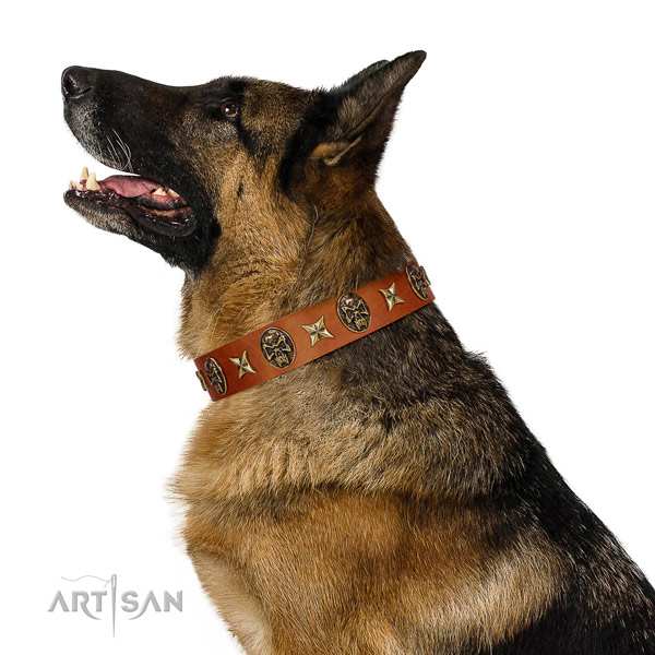 Handmade full grain leather dog collar with embellishments