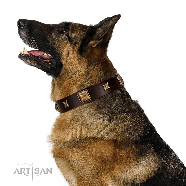 Handcrafted natural leather dog collar with adornments