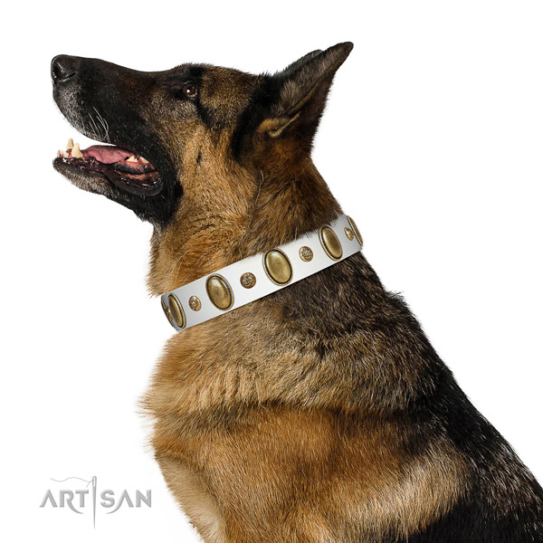 Easy wearing soft full grain leather dog collar with adornments