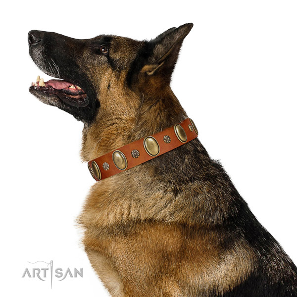 Handy use top notch full grain natural leather dog collar with decorations