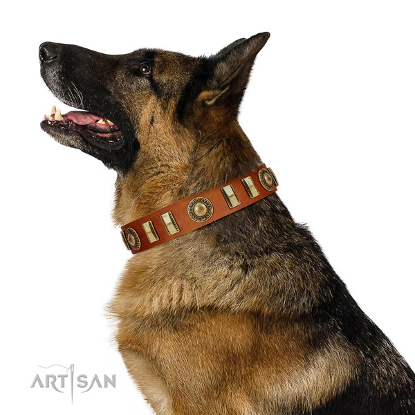 Designer full grain genuine leather dog collar with strong traditional buckle