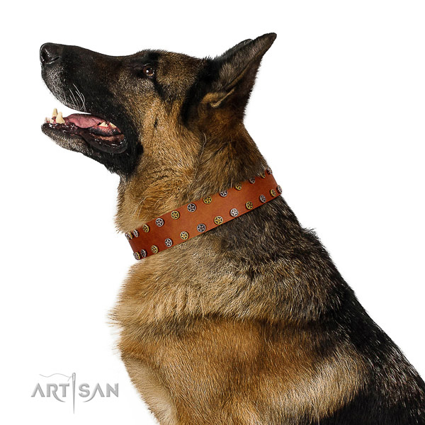 Daily use flexible full grain natural leather dog collar with decorations