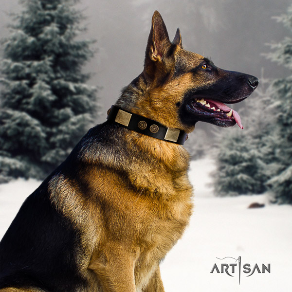 German-Shepherd Dog unusual adorned full grain natural leather dog collar for comfortable wearing
