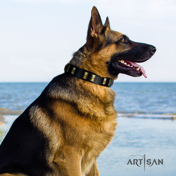 German-Shepherd Dog exceptional embellished full grain leather dog collar for walking