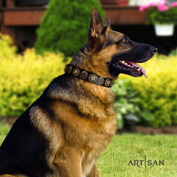 German-Shepherd Dog impressive decorated full grain natural leather dog collar for everyday walking