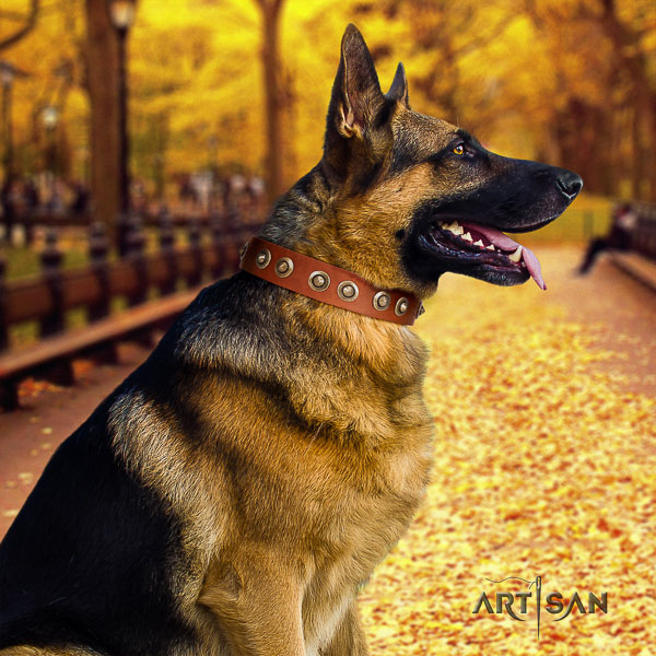 German-Shepherd Dog trendy adorned full grain genuine leather dog collar for comfortable wearing