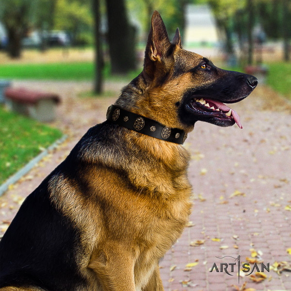 German-Shepherd Dog designer decorated full grain genuine leather dog collar for everyday walking