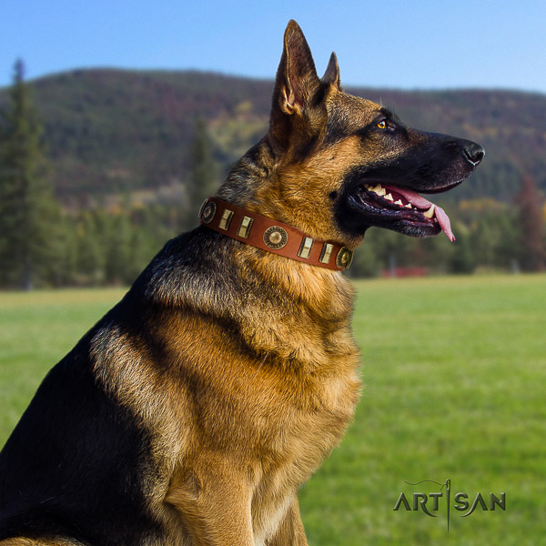 German-Shepherd Dog unusual adorned full grain genuine leather dog collar for daily walking
