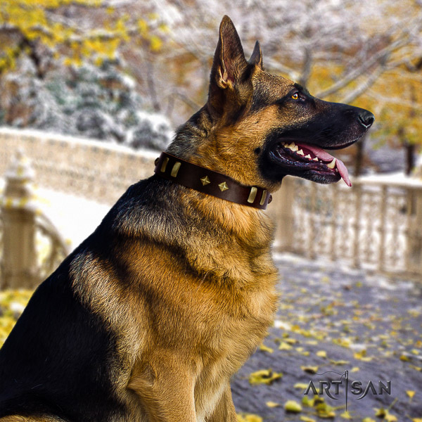 German-Shepherd Dog incredible adorned natural leather dog collar for fancy walking