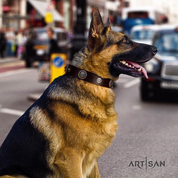German-Shepherd Dog top notch adorned genuine leather dog collar for comfy wearing