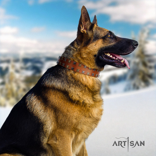 German-Shepherd Dog stylish embellished natural leather dog collar for fancy walking
