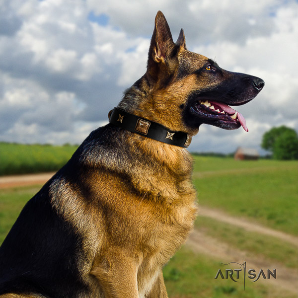 German-Shepherd Dog impressive adorned natural leather dog collar for daily use