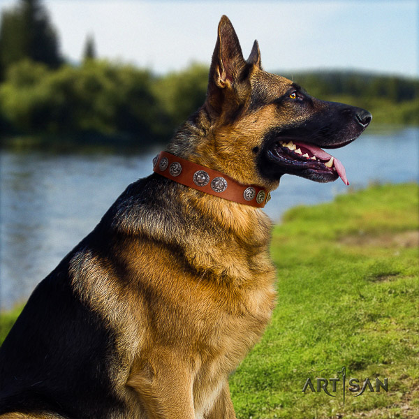 German-Shepherd Dog fashionable embellished genuine leather dog collar for daily walking