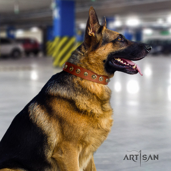German-Shepherd Dog stunning adorned leather dog collar for everyday walking