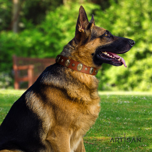 German-Shepherd Dog stunning studded natural leather dog collar for easy wearing