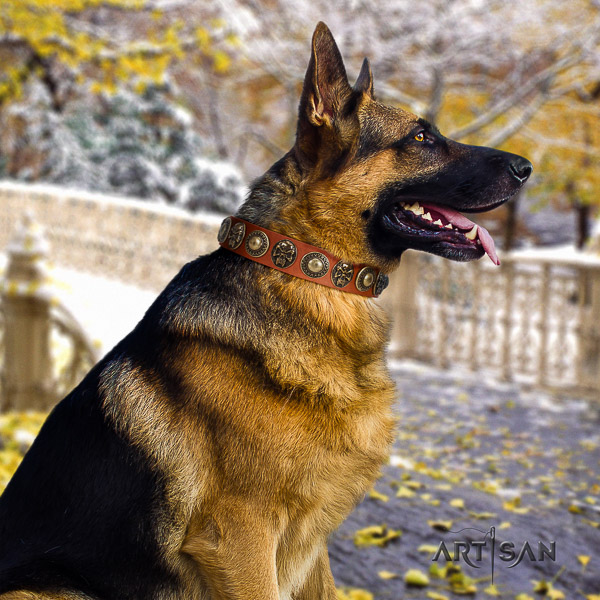 German-Shepherd Dog unique studded full grain natural leather dog collar for comfortable wearing