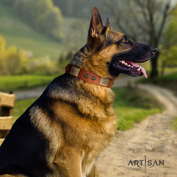 German-Shepherd Dog fashionable embellished full grain genuine leather dog collar for walking