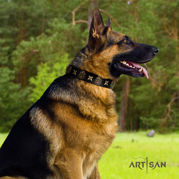 German-Shepherd Dog amazing embellished full grain leather dog collar for everyday walking