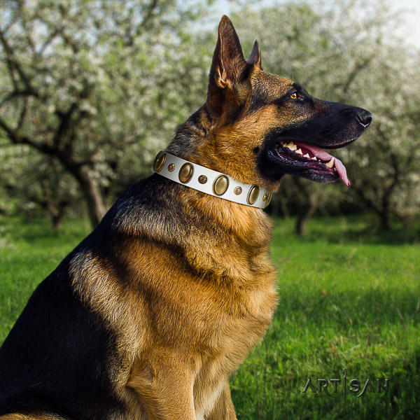 German-Shepherd Dog unique adorned full grain leather dog collar for daily use