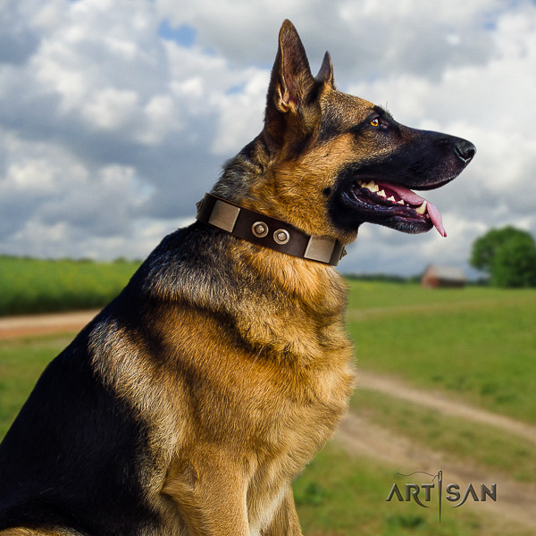 German-Shepherd Dog fashionable embellished full grain natural leather dog collar for stylish walking