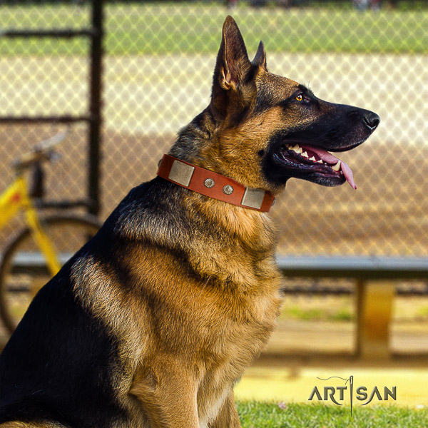 German-Shepherd Dog inimitable adorned leather dog collar for stylish walking